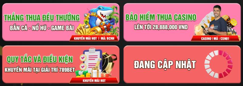 Bảo hiểm thua cược và hoàn trả tài khoản