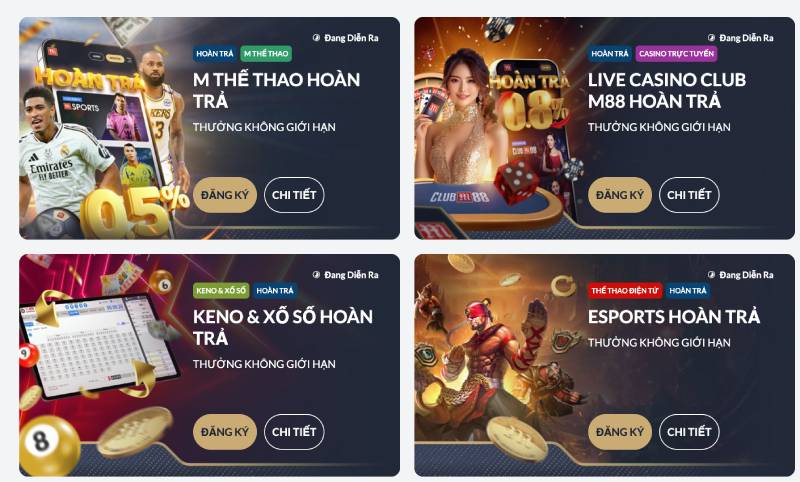 Cược càng nhiều, hoàn lại càng cao – hỗ trợ người chơi dài hạn.