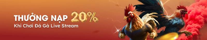 Đá gà livestream – Thưởng ngay 288K mỗi ngày