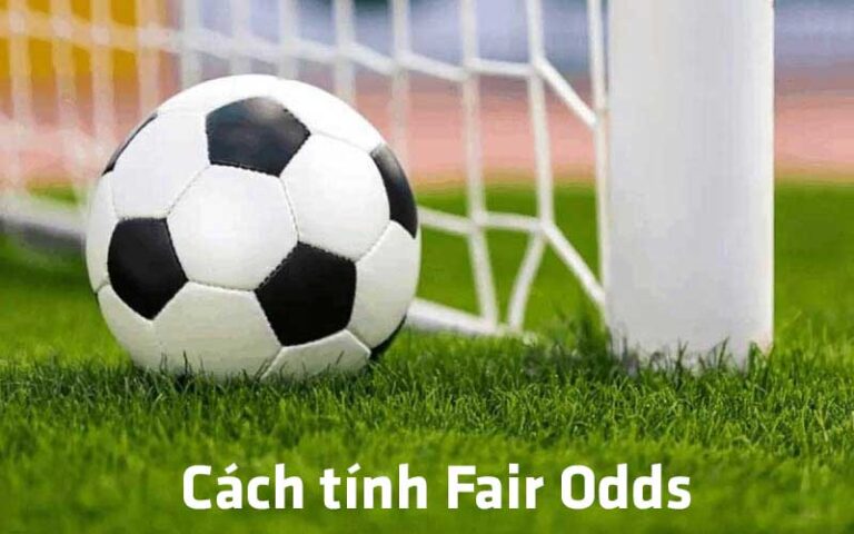 Danh Gia Fair Odds Trong Ca Cuoc Hieu Dung De Khong Bi Dat Mui