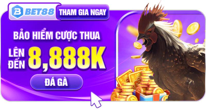 Hoàn tiền bảo hiểm và bảo hiểm cược thua