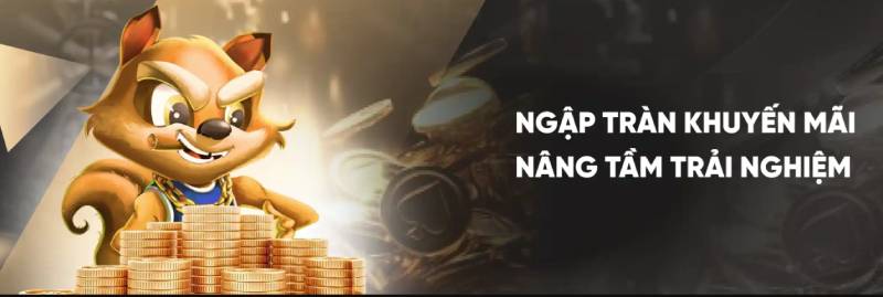 Quy định áp dụng đối với tất cả các chương trình ưu đãi tại SOC88
